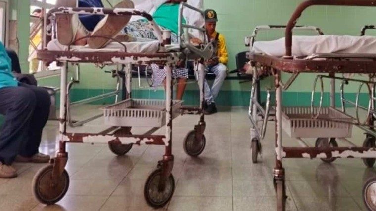 Alerta en Cuba: Más de 400 casos del virus del Oropouche reportados hasta agosto