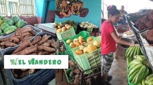 Lo último: Acopio crea nueva tienda virtual «El Viandero»