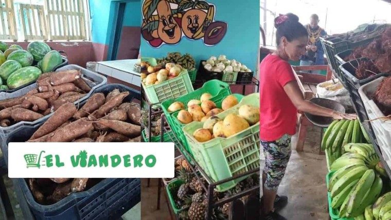 Lo último: Acopio crea nueva tienda virtual «El Viandero»