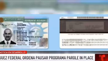 Parole in Place en pausa: abogado explica qué hacer