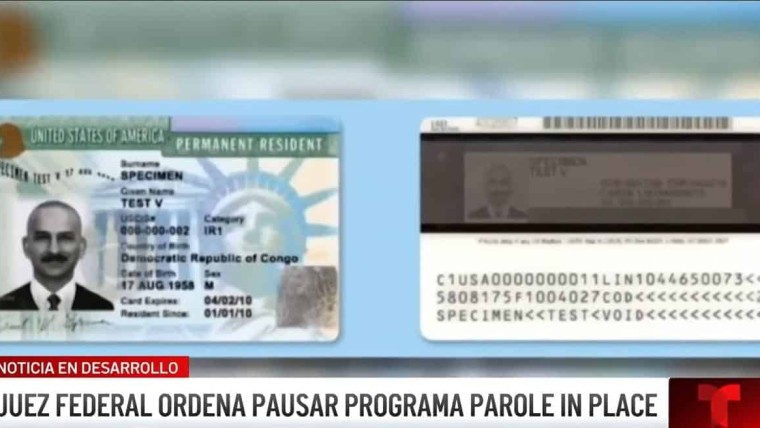 Parole in Place en pausa: abogado explica qué hacer