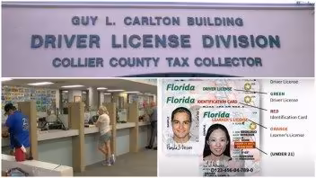 Cambios en la licencia de conducir en Florida: Así es como debes tramitar tu nueva driver license