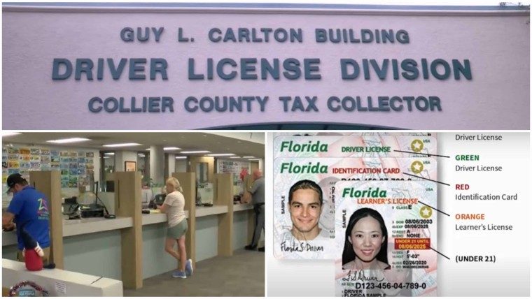 Cambios en la licencia de conducir en Florida: Así es como debes tramitar tu nueva driver license