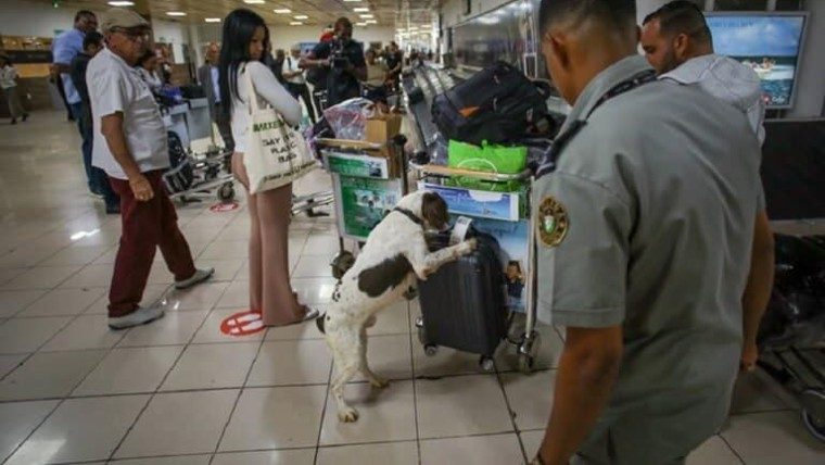 Aduana de Cuba actualiza sobre facilidades de reembarque de mercancía