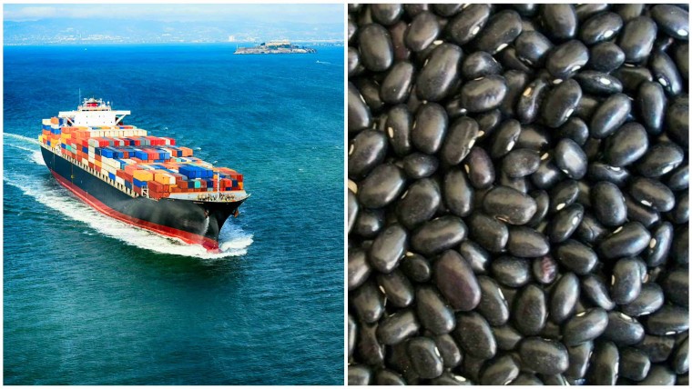 Buque con 10 mil toneladas de frijoles negros rumbo a Cuba desde Argentina