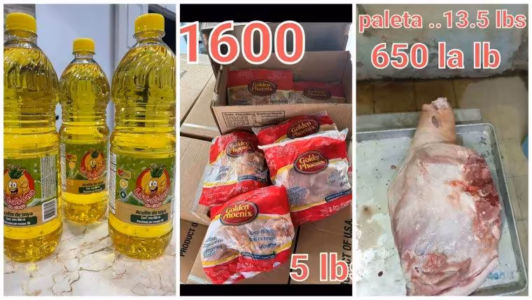 Expertos advierten que la volatilidad del dólar impide contratos y eleva precios en Cuba