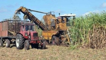 Crisis en la producción azucarera se refleja en la canasta básica
