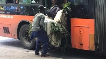Critican sanción a chofer de guagua en La Habana tras caso publicado en redes sociales