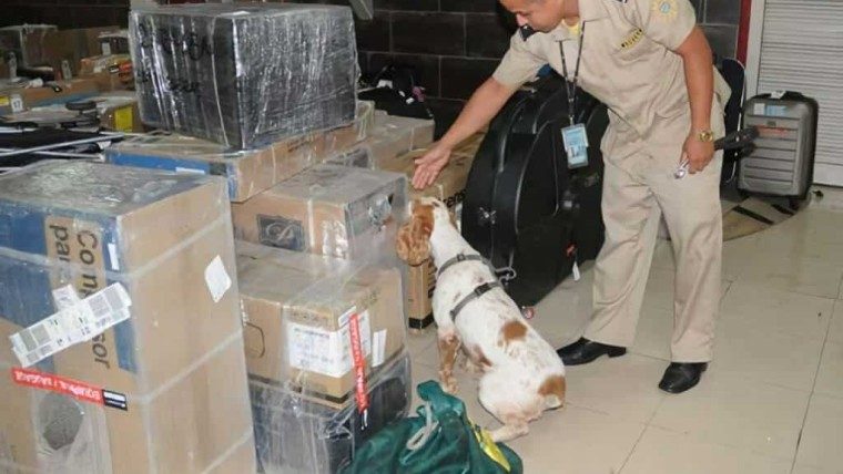 ¿Cuándo puede la Aduana de Cuba decomisar artículos de tu equipaje?