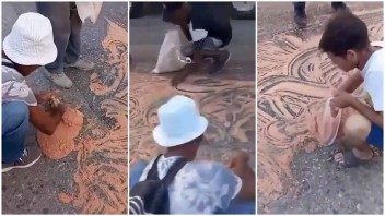 Cubanos recogen picadillo derramado en plena calle