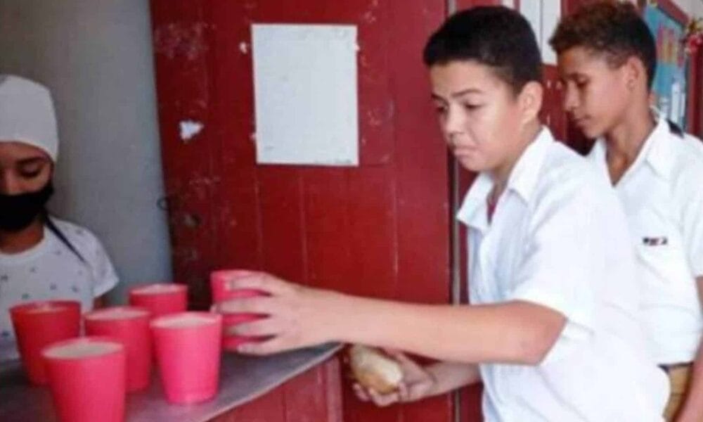 merienda escolar mincin