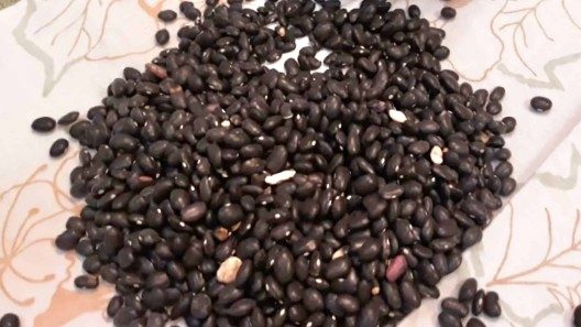MINCIN informa sobre la distribución de frijoles en Cuba