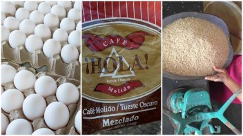 Cronograma de distribución de la canasta básica: ¿qué viene a la bodega esta semana?