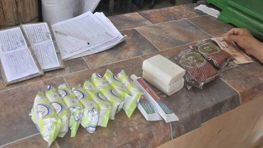 Pollo, sardinas, azúcar, huevos, compotas. Confirman entrega de Canasta Básica a cubanos