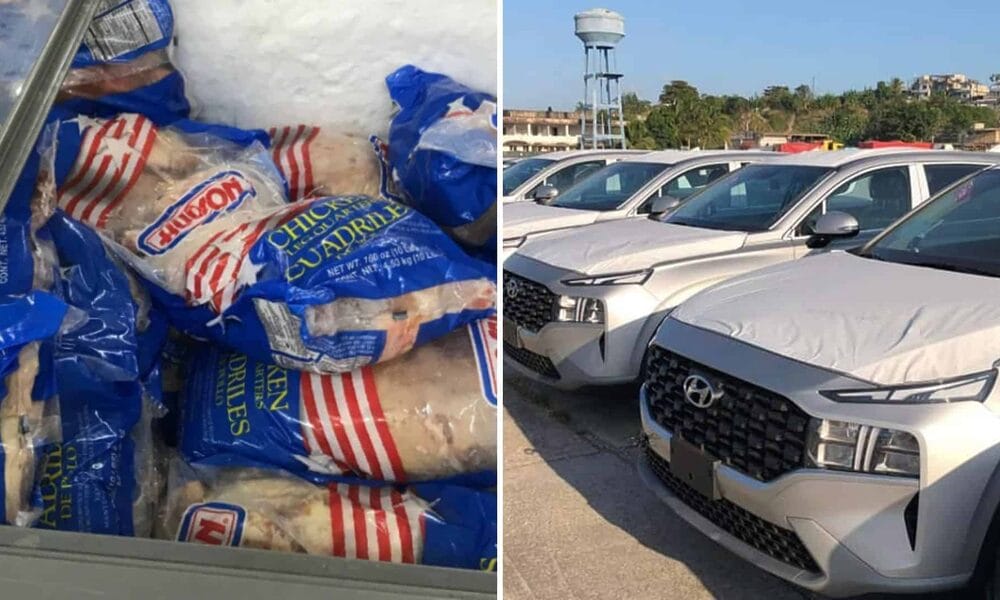 pollo autos cuba estados unidos