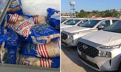 pollo autos cuba estados unidos