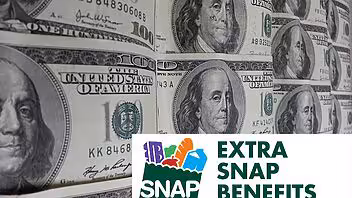 Guía para solicitar nuevos cupones (food stamps) de alimentos en Florida: ¿cómo hacerlo online?