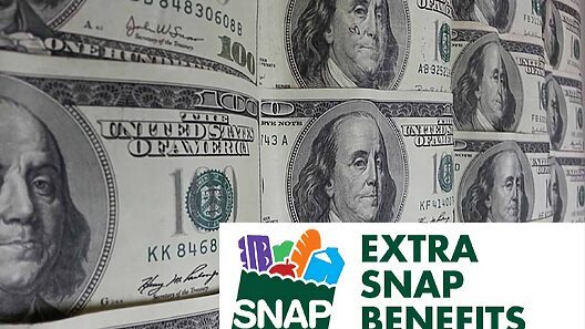 Guía para solicitar nuevos cupones (food stamps) de alimentos en Florida: ¿cómo hacerlo online?