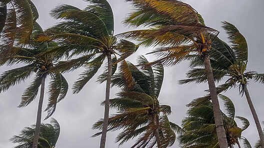 Frente frío: bajan las temperaturas esta semana en Cuba y Miami
