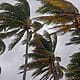 viento frente frío cuba miami