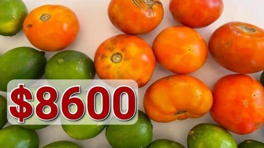 $8600 CUP por una bolsa de tomates y limones: Corresponsal de CNN en Cuba se queja del alto costo de los alimentos en la isla
