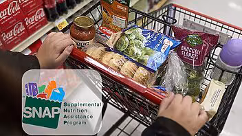 Florida: Fechas de pago de los food stamps del SNAP en diciembre