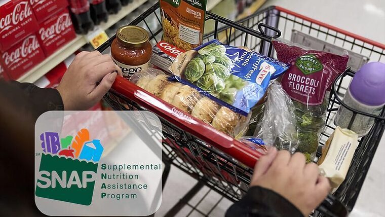 Florida: Fechas de pago de los food stamps del SNAP en diciembre
