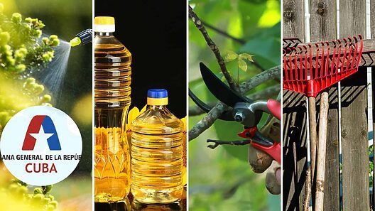 ¿Cuáles son los nuevos productos exentos de pagos en la Aduana de Cuba?