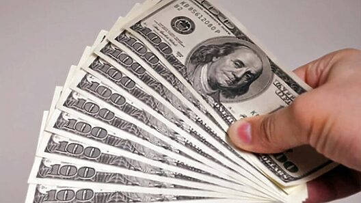 Así están hoy el dólar, el euro y la MLC en Cuba. Tasas de cambio del mercado informal