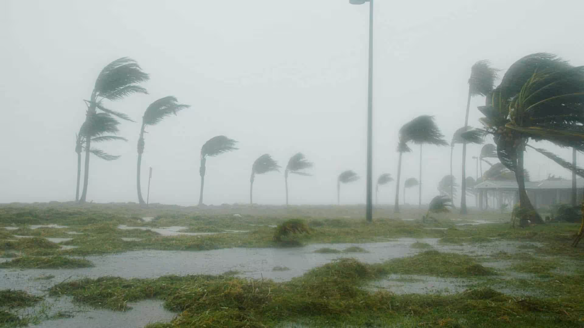Temporada ciclónica 2026 comienza en el Atlántico sin señales de desarrollo en los próximos días