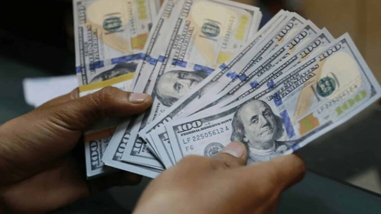¿A cómo está el dólar, el euro y la MLC en Cuba hoy? Tasas de cambio del mercado informal