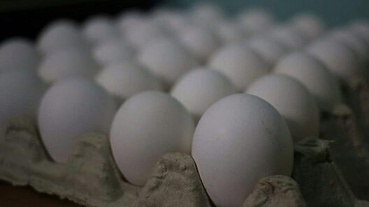Alarmante: precio del cartón de huevos supera los 4.000 pesos en Cuba