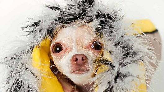Frente frío trae bajas temperaturas al sur de Florida esta semana