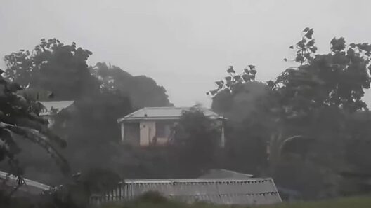 Informan sobre créditos para damnificados por huracán Óscar: detalles y proceso de solicitud