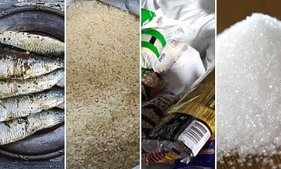 módulos gratuitos habana