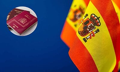 ley nietos españa