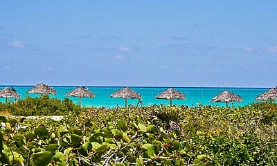 turistas cuba 2024