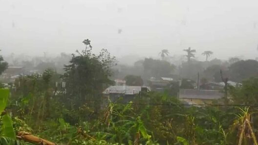 Último Aviso del NHC sobre la Tormenta Tropical Rafael. Activa alertas en Cuba y Florida