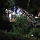 accidente florencia ciego cuba