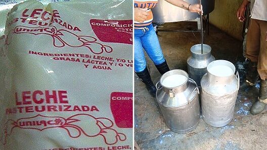 Medidas improvisadas ante crisis con la leche de los niños en Cuba