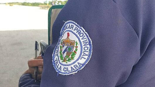 Operativos en Cuba: incautan langostas, carnes de res, camarones, combustible
