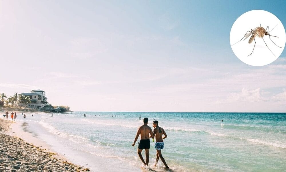 jejenes turista rusa cuba