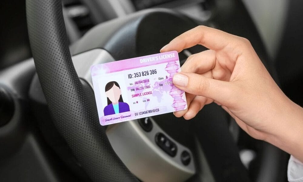 licencia conducir españa