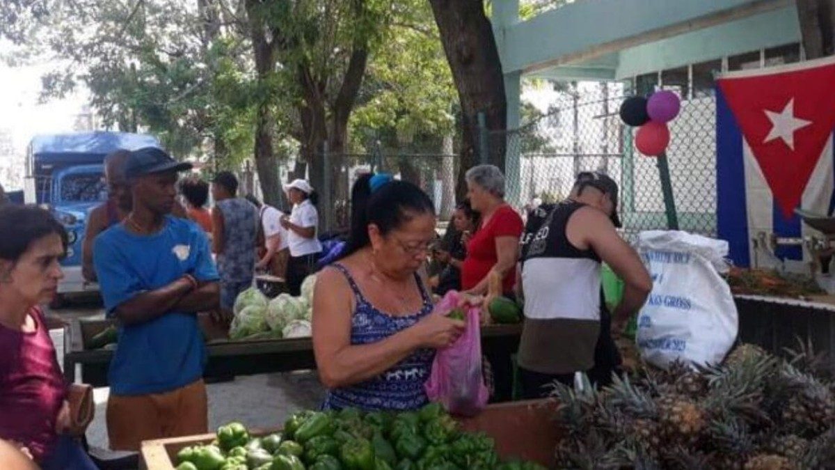 Artemisa, Matanzas y Holguín fijan margen comercial del 30% y aplican multas