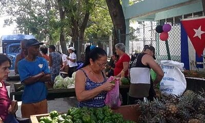 precio topado feria