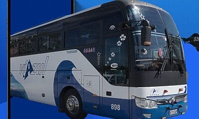 viazul
