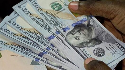 Tasas de cambio: Fuerte caída en el precio del dólar y del euro hoy en Cuba