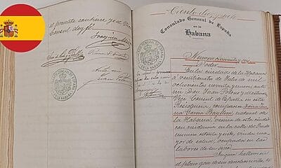 ley nietos guia documentos