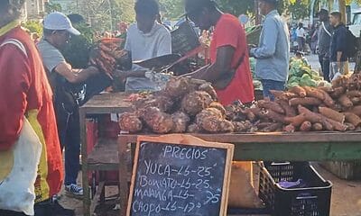 precios alimentos mercados cubanos
