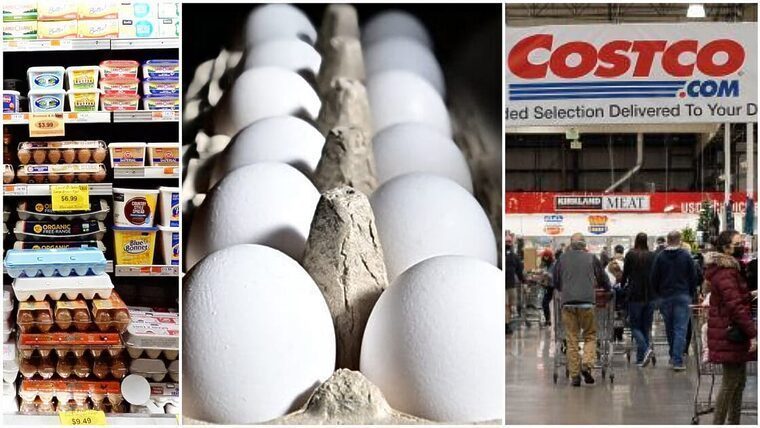 Regulan la venta de huevos en Estados Unidos ante la escasez: Costco y Trader Joe’s solo venderán una docena por cliente